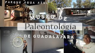 ✅TOUR POR El MUSEO DE PALEONTOLOGÍA DE GUADALAJARA|parque agua azul💙✨