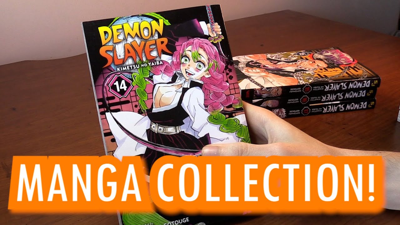 A Beginner's Guide to Manga Box Sets 