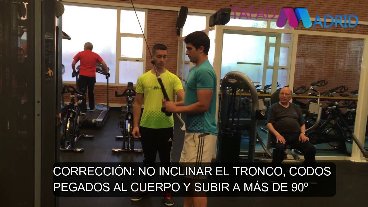 Musculación - Tríceps- Corrección: Extensiones polea alta cuerda de pie agarre abierto camera iphone 8 plus apk