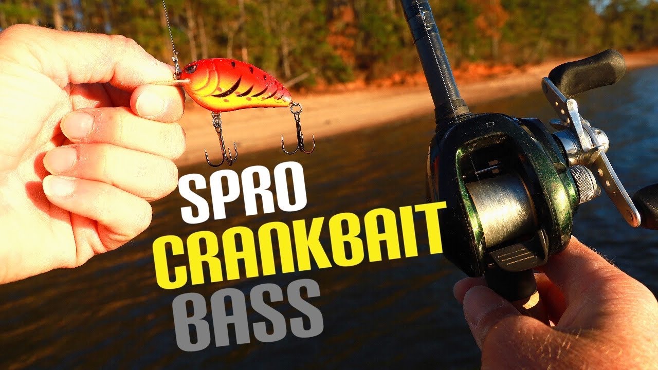 SPRO Crankbait, Cold Weather Bass