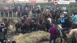 картинка: Жёсткий Аламан улак Малтабар айылында болду! 12 03 22