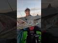Foul hooked a nice Couta