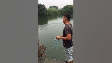 New Primitive Technology FISH TRAP with Fishing SR #short