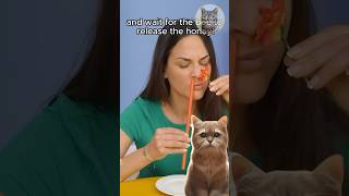 Thumbnail for The Real Process of Harvesting Honey 🐝🍯 #funnycats #funnyvideo #reaction #honey