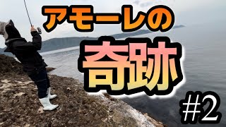 アオリイカエギング、アモラスで釣る【20kg釣る#2】