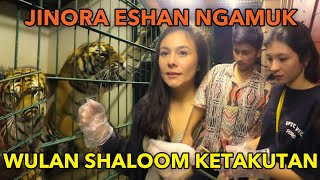 Download Lagu ESHAN JINORA NGAMUK WULAN SHALOOM KETAKUTAN MP3