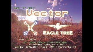 Eagle tree Vector, qav400, pilots view,  Mono Lake, Ca   8/15