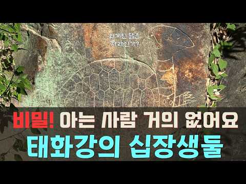 태화강 국가정원의 비밀_여기에 웬 두  십장생이?