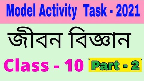 Model activity task class 10 life science part 2