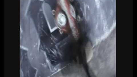 Circa shoe and independence truck review