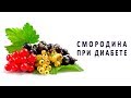 Польза смородины при сахарном диабете