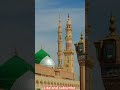 sarkar ka noukar hu #naatshareef #naatsharif #trending #viral #shorts #reaction #islamic #duet