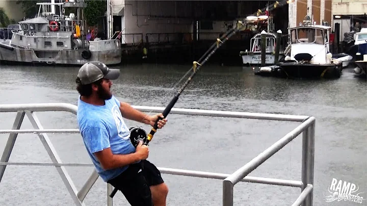 Another 400lb Monster Fish By O'Gorman