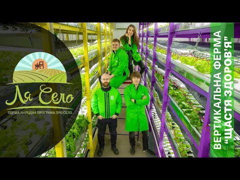 Ферма замість офісу: молодий киянин створив вертикальну ферму "Щастя Здоров’я" у Києві