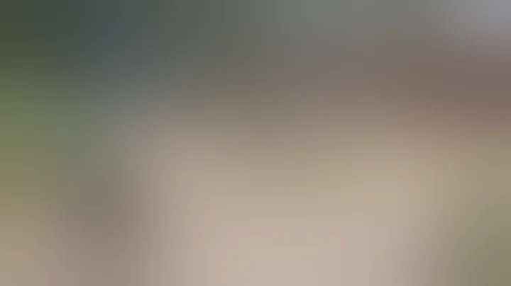 Thompson 1928 suppressed w 50 Round Drum