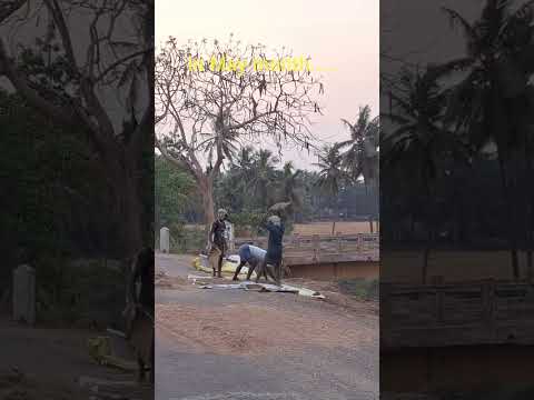 #youtubeshorts #viralvideos #villagelife #village #johnsirkakinada #nature