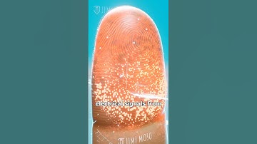 Can Dead Finger Unlock iPhone with Touch ID? 🖐️ #shorts #science #biometric #iphone