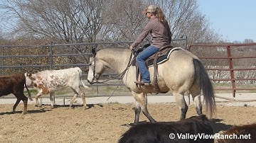 Cowboy Clout - working cows! - ValleyViewRanch.net