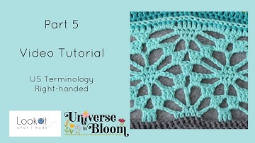 Universe in Bloom Part 5 Right handed (US Terminology)