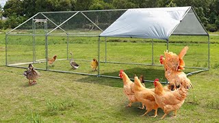 Hybrid chickens Farm│Inside hybrid farm of free range chickens ( Tour)
