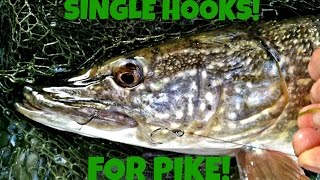 Pike on Dead Baits With Single Hooks! 