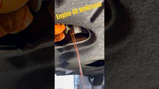 Engine Oil Antifreeze! 3.6l Pentastar #repair