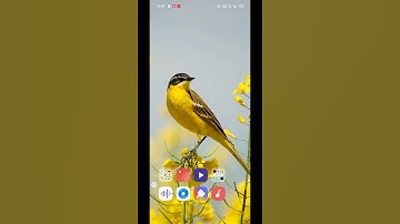 how ti enable icon pull down gesture in oppo realme #shorts