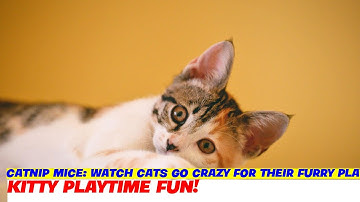 Catnip Mice: Watch Cats Go Crazy for Their Furry Playmates!