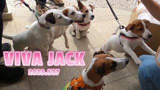 【VIVA　JACK】行って来ました♪なんと２３４ピキのジャックだらけ♪