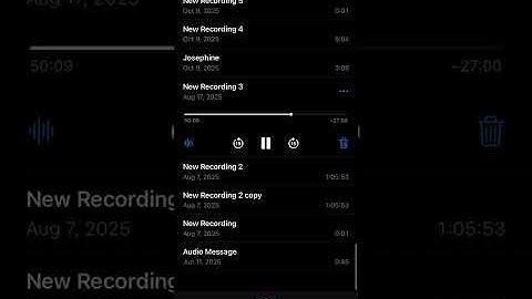 all she wants to talk about is british petroleum (the coochie mechanic praccy files)