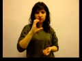 Русский жестовый язык: "Характер человека"