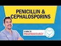 Pharmacology - Penicillin & Cephalosporins Antibiotics nursing RN PN NCLEX