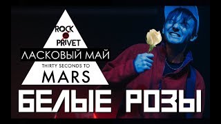 Ласковый Май / 30 Seconds To Mars - Белые Розы (Cover by ROCK PRIVET) chords