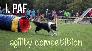 I. PAF Agility Competition ♥️ by Little Riley 843 views 5 years ago 3 minutes, 3 seconds
