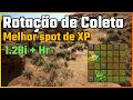 🌿 Farmando 1.2 Bi+ e Muita XP com Essa Rotação de Coleta!