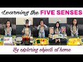 Sophie learns through play  learning the five senses