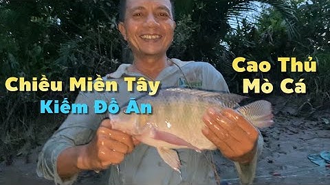 Một Buổi Chiều Quê Anh Em Đi Lặn Cống Là Có Món Ngon Miệt Vườn | Cù Lao Dung Vlogs #758