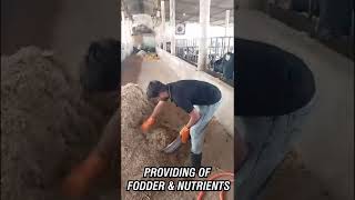 INTRO   DIARY FARMING