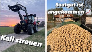 Die ersten Saatkartoffel abholen 🥔| Kornkali streuen | Farmvlog #101