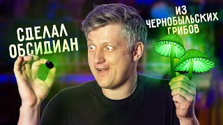 видео: 🔥 Сварил СТЕКЛО из ЧЕРНОБЫЛЬСКИХ ГРИБОВ картинка: 🔥 Сварил СТЕКЛО из ЧЕРНОБЫЛЬСКИХ ГРИБОВ