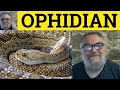 🔵 Ophidian Meaning - Ophidian Examples - Ophidia Definition - Describing People - Ophidian