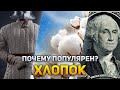 Почему хлопок так популярен? | DeeaFilm