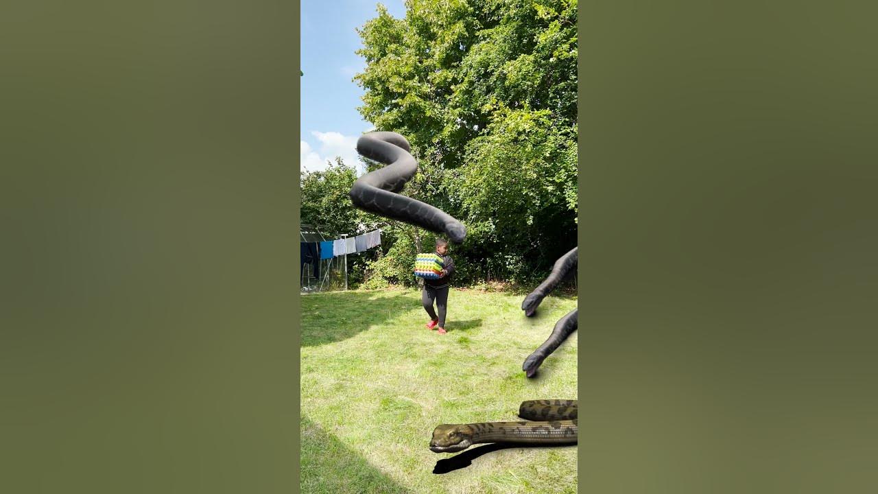 Animal funny video Giant Anaconda snake python in real life #realfools ...