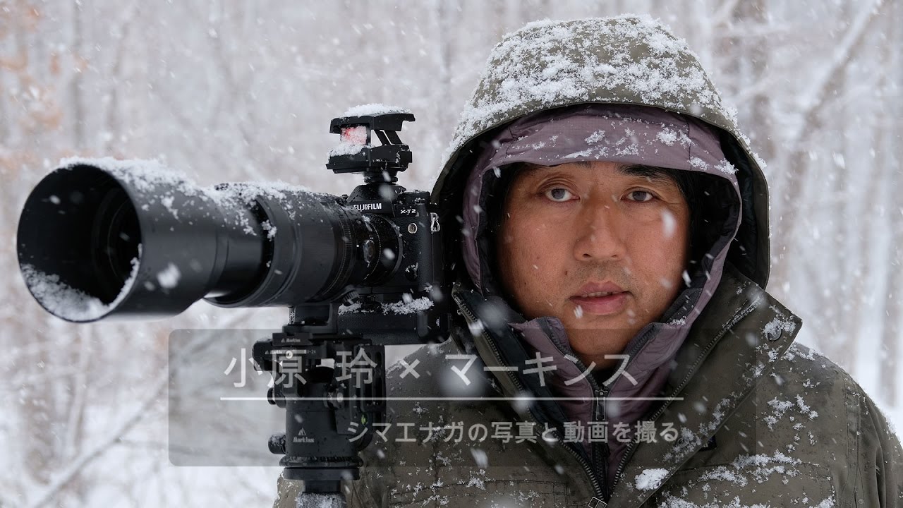 Movie Photographer Rei Ohara Markins Bv Head Trinple