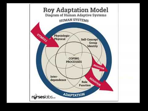 Roy&rsquo;s Adaptation Model