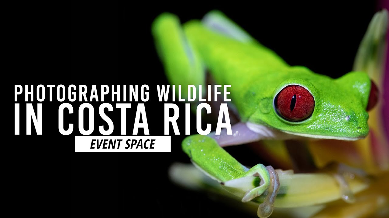 Wildlife Photography in Costa Rica | B&H Event Space