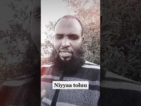 Niyya Gaari Haaqabannu