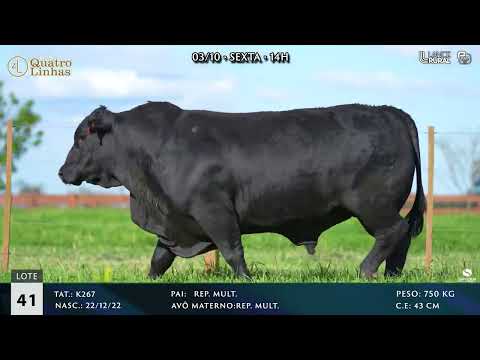 LOTE 041