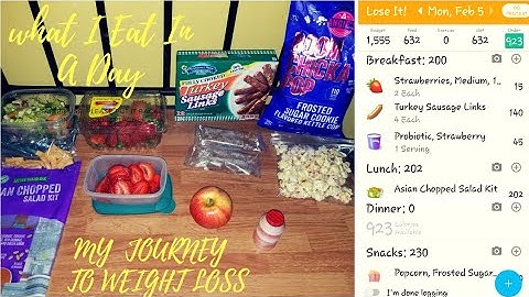 What I eat in a Day/Lose It App/Journey to Weight loss