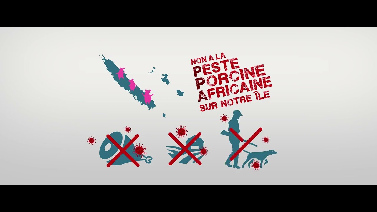 Prévention - Peste Porcine Africaine